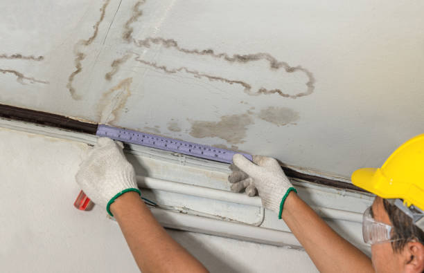 Reliable Sewage Cleanup contractor in Groveland, MA by Water Damage Irwin